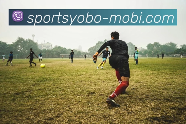 yobo体育APP 封面图